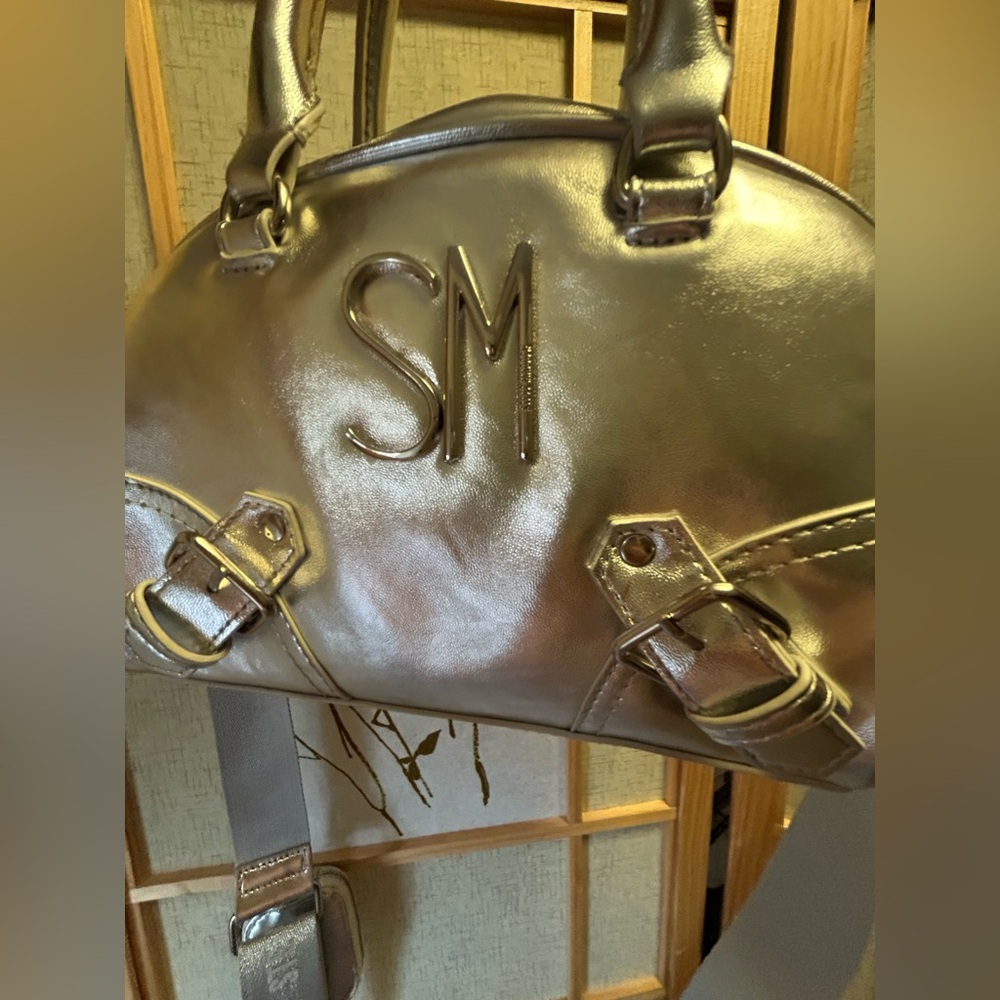 Steve Madden Silver Purse+Coin Purse